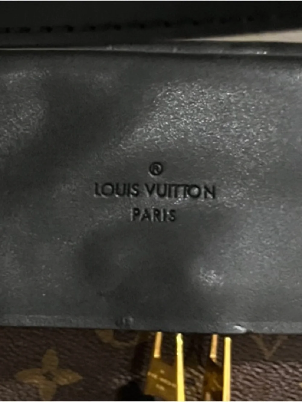Louis Vuitton iconic louis